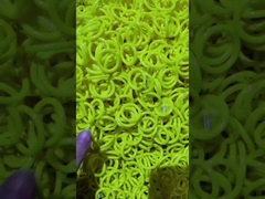 КОЛЦЕОБРАЗНОЕ УПЛОТНЕНИЕ